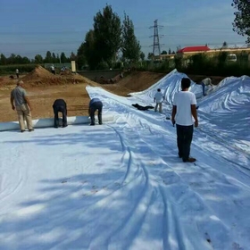 人工湖、人工河道防滲復合土工膜